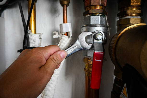 Best Plumbing Services Near Me  in Farmington, MO